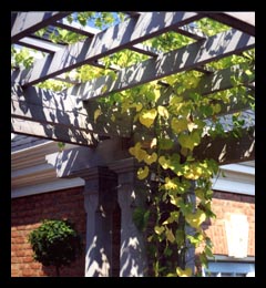 Pergola and outdoor spaces for home in Albemarle County, Virginia, designed by Candace Smith Architect